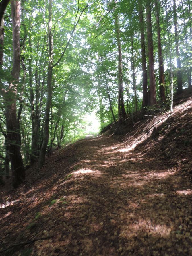 Se Reconnecter A La Nature Au Gite 3 Etoiles De Montager A Saint Andre De Chalencon Exterior foto