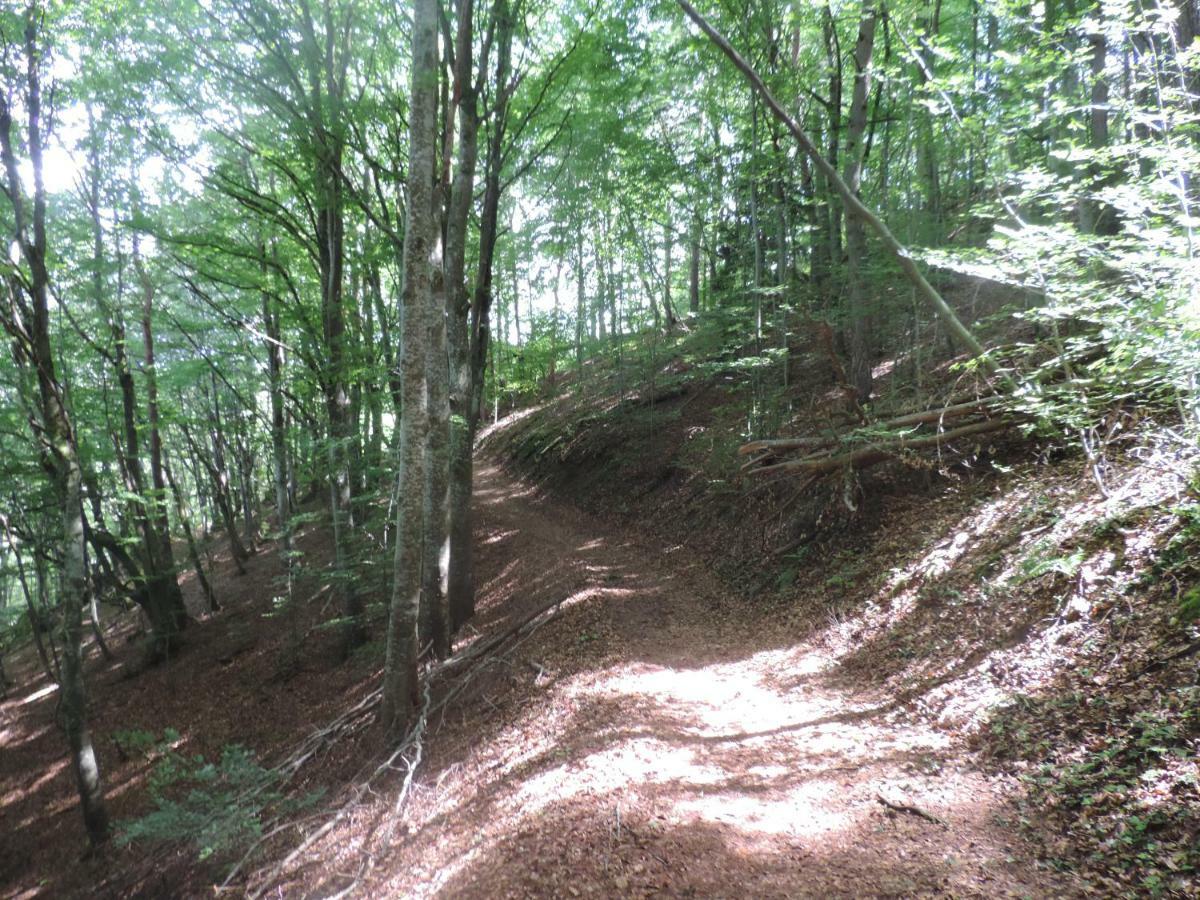 Se Reconnecter A La Nature Au Gite 3 Etoiles De Montager A Saint Andre De Chalencon Exterior foto