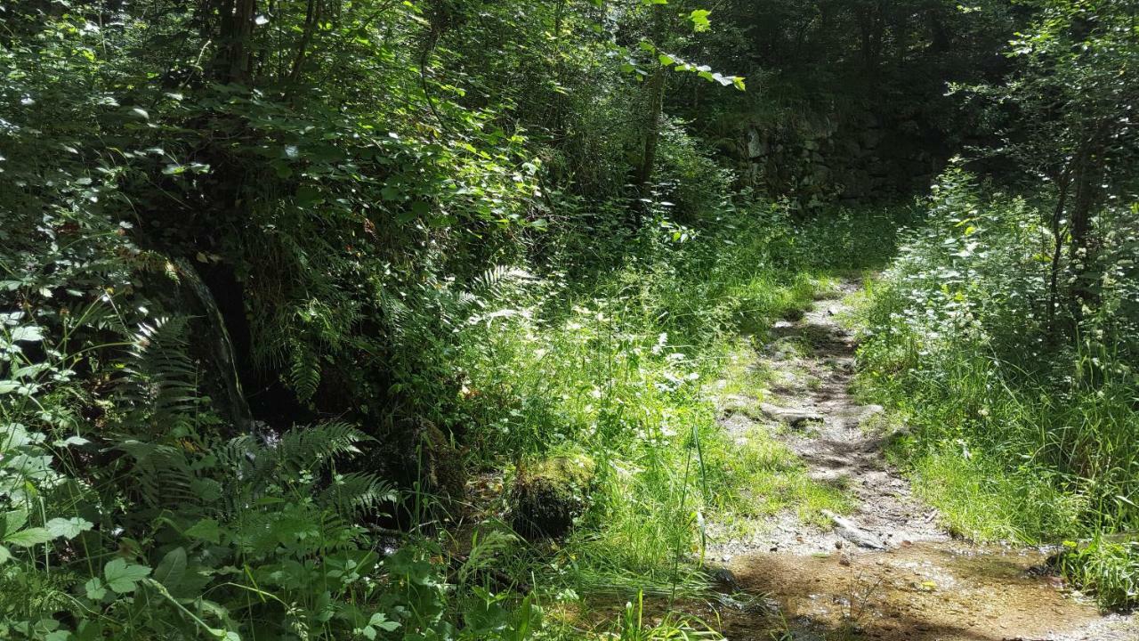 Se Reconnecter A La Nature Au Gite 3 Etoiles De Montager A Saint Andre De Chalencon Exterior foto